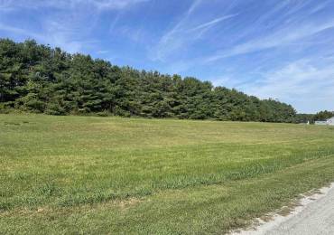 5 Cool Springs Road, Makanda, Illinois, ,Land,For Sale,Cool Springs,RMAPA1263739