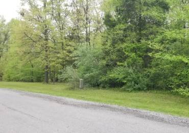 Lot 82 & 83 Saluki Way, Goreville, Illinois, ,Land,For Sale,Saluki,RMAPA1263860