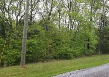 Lot 80 & 81 Saluki Way, Other, Illinois, ,Land,For Sale,Saluki,RMAPA1263856