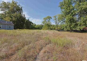 306 ORANGE Street, Freeman Spur, Illinois, ,Land,For Sale,ORANGE,RMAPA1264039