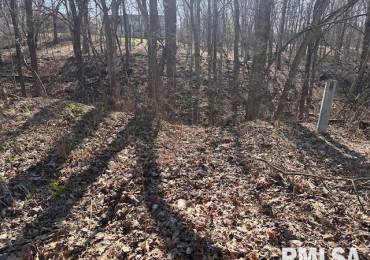 7 PICKWICK Lane, Mackinaw, Illinois, ,Land,For Sale,PICKWICK,RMAPA1264972