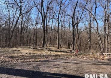 16 LONDONDERRY Lane, Mackinaw, Illinois, ,Land,For Sale,LONDONDERRY,RMAPA1264971
