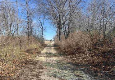 RR TOOT PLACE Lane, Lewistown, Illinois, ,Land,For Sale,TOOT PLACE,RMACA1042715