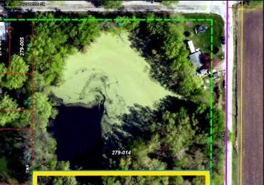 ELIZABETH Street, Illiopolis, Illinois, ,Land,For Sale,ELIZABETH,RMACA1042811