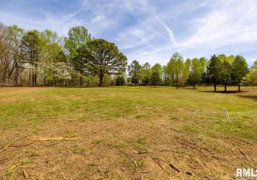 000 Dutton Chapel Road, Golconda, Illinois, ,Land,For Sale,Dutton Chapel,RMACA1042956