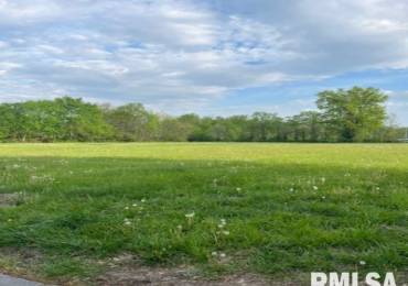 1316 Ritchey Drive, Marion, Illinois, ,Land,For Sale,Ritchey,RMAPA1265575