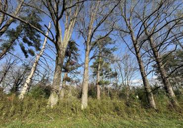 5528 Gannett Road, Mulkeytown, Illinois, ,Land,For Sale,Gannett,RMAPA1265612