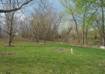 16172 100TH Street, Blandinsville, Illinois, ,Land,For Sale,100TH,RMAPA1265655