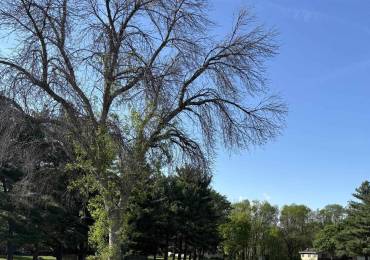 000 WESTPOINT Drive, Jacksonville, Illinois, ,Land,For Sale,WESTPOINT,RMACA1043160