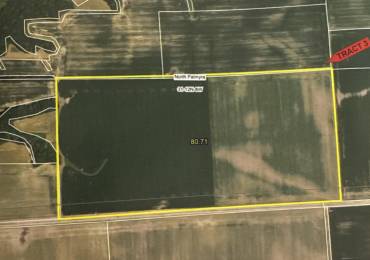 PALMYRA Road, Palmyra, Illinois, ,Land,For Sale,PALMYRA,RMACA1043181