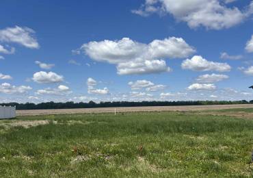 729 Nine Rock Road, Sherman, Illinois, ,Land,For Sale,Nine Rock,RMACA1043377
