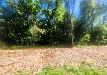 309 BRANDY Drive, Mackinaw, Illinois, ,Land,For Sale,BRANDY,RMAPA1266200