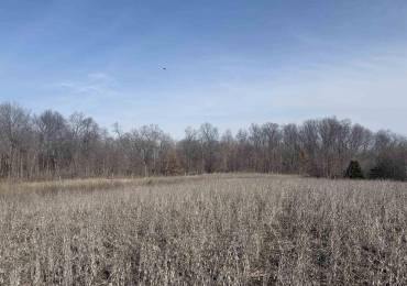 4215-4123 925th Street, Paris, Illinois, ,Land,For Sale,925th,RMACA1043552