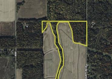XXX Red Hill Lane, Sumner, Illinois, ,Land,For Sale,Red Hill,RMACA1043647