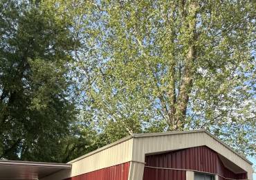 2800 RIDGE Avenue, Springfield, Illinois, 2 Bedrooms Bedrooms, ,2 BathroomsBathrooms,Manufactured In Park,For Sale,RIDGE,RMACA1043379