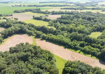 8543 Frey Road, Pleasant Plains, Illinois, ,Land,For Sale,Frey,RMACA1043845