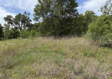 0 ROBINIA Grove, Havana, Illinois, ,Land,For Sale,ROBINIA,RMAPA1266696