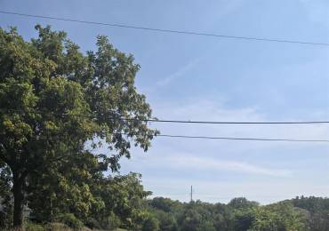 1038 Koke Mill Road, Springfield, Illinois, ,Land,For Sale,Koke Mill,RMACA1040008