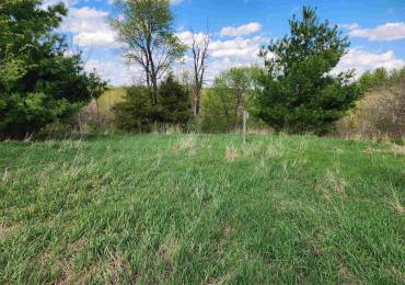376 TOWNHALL Road, Metamora, Illinois, ,Land,For Sale,TOWNHALL,RMAPA1267245
