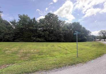 Lot 82 & 83 Saluki Way, Goreville, Illinois, ,Land,For Sale,Saluki,RMAPA1267319