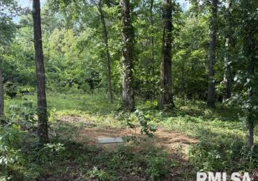 000 Wagon Creek Loop, Creal Springs, Illinois, ,Land,For Sale,Wagon Creek,RMAPA1267369