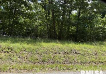 000 Wagon Creek Loop, Creal Springs, Illinois, ,Land,For Sale,Wagon Creek,RMAPA1267378