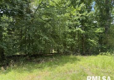 000 Wagon Creek Loop, Creal Springs, Illinois, ,Land,For Sale,Wagon Creek,RMAPA1267375
