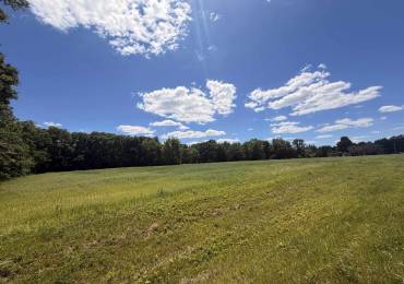 Rt 48 SOUTH Highway, Taylorville, Illinois, ,Land,For Sale,SOUTH,RMACA1044458