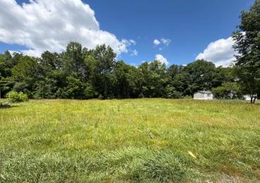 0000 LINCOLN Street, Colp, Illinois, ,Land,For Sale,LINCOLN,RMAPA1267490