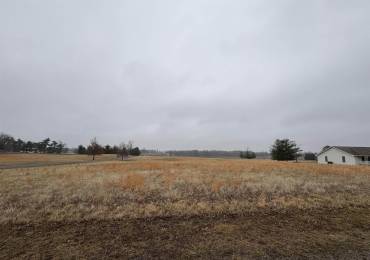 Lot 7 DOVE Lane, Eldorado, Illinois, ,Land,For Sale,DOVE,RMAPA1267489
