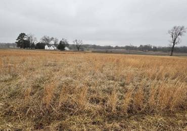 Lot 6 DOVE Lane, Eldorado, Illinois, ,Land,For Sale,DOVE,RMAPA1267491