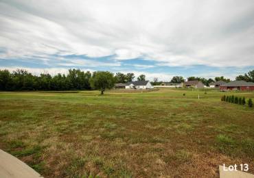 1303 WAYNE Avenue, Marion, Illinois, ,Land,For Sale,WAYNE,RMAPA1267497