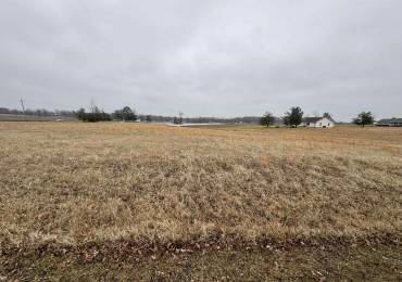 Lot 13 DOVE Lane, Eldorado, Illinois, ,Land,For Sale,DOVE,RMAPA1267652