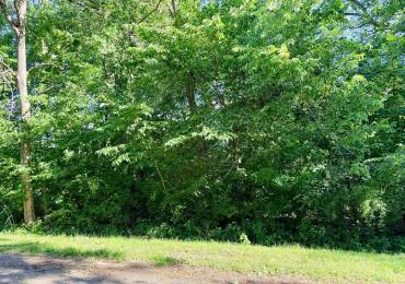 229 KICKAPOO Court, Hopewell, Illinois, ,Land,For Sale,KICKAPOO,RMAPA1267688