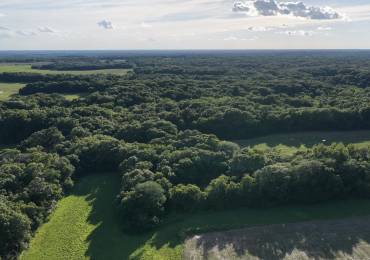 000 2950 E Street, Clayton, Illinois, ,Land,For Sale,2950 E,RMACA1044876