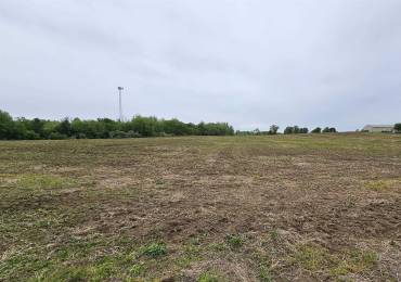000 Old Creal Springs Road, Marion, Illinois, ,Land,For Sale,Old Creal Springs,RMAPA1263893