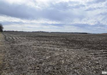 11250 900TH Street, Macomb, Illinois, ,Land,For Sale,900TH,RMAPA1268110