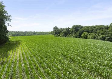 000 Highway 9 County Road, Lewistown, Illinois, ,Land,For Sale,Highway 9,RMACA1044951