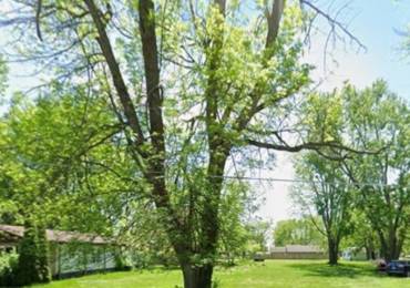 823 MADISON Street, Girard, Illinois, ,Land,For Sale,MADISON,RMACA1044957