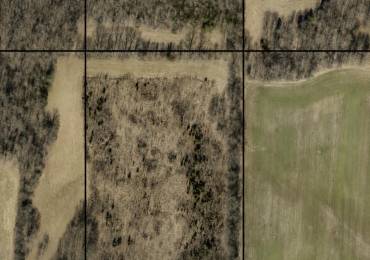 805 State Highway 146, Golcanda, Illinois, ,Land,For Sale,State Highway 146,RMAPA1268283