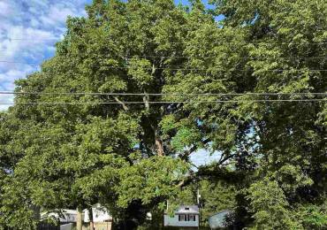 South 5th Street Street, Monmouth, Illinois, ,Land,For Sale,Street,RMACA1000704