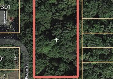 000 HALL Street, Cambria, Illinois, ,Land,For Sale,HALL,RMAQC4255582