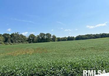 00 Minder Road, Rochester, Illinois, ,Land,For Sale,Minder,RMACA1031301