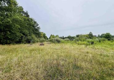 0000 COUNTY LINE Road, West Frankfort, Illinois, ,Land,For Sale,COUNTY LINE,RMAEB454770