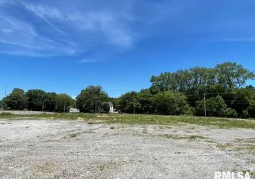 825 Joppa North Avenue, Joppa, Illinois, ,Land,For Sale,Joppa North,RMAEB450818