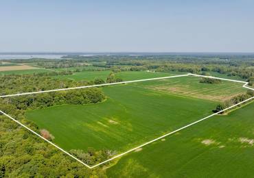 000 Louse Creek Road, Carlyle, Illinois, ,Land,For Sale,Louse Creek,RMAEB454864