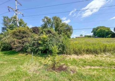 13422 State Route 40, Dunlap, Illinois, ,Land,For Sale,State Route 40,RMAPA1252821