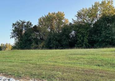 4530 OAKWOOD Drive, Quincy, Illinois, ,Land,For Sale,OAKWOOD,RMACA1031538