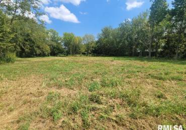 000 Hirons Street, Waltonville, Illinois, ,Land,For Sale,Hirons,RMAEB454934