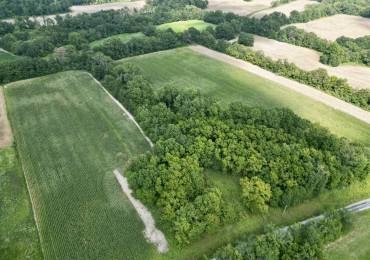 000 Silence Road, Bluford, Illinois, ,Land,For Sale,Silence,RMAEB455000